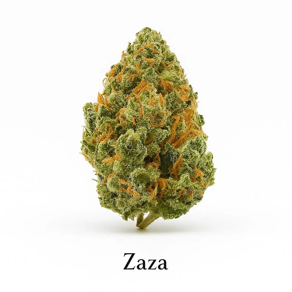 Zaza cannabis strain
