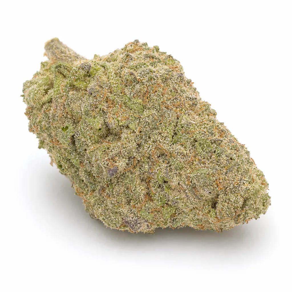 Crystal Coma cannabis strain