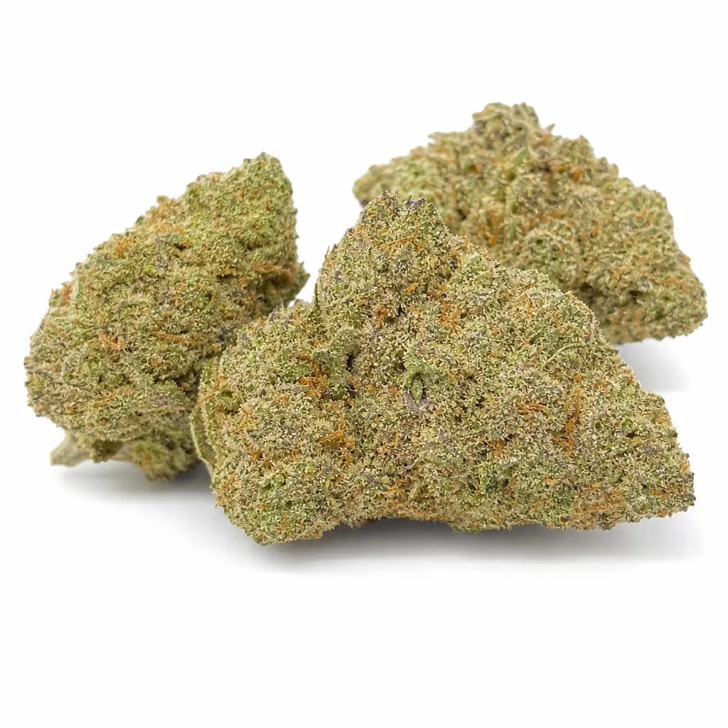 Russian Assassin cannabis strain