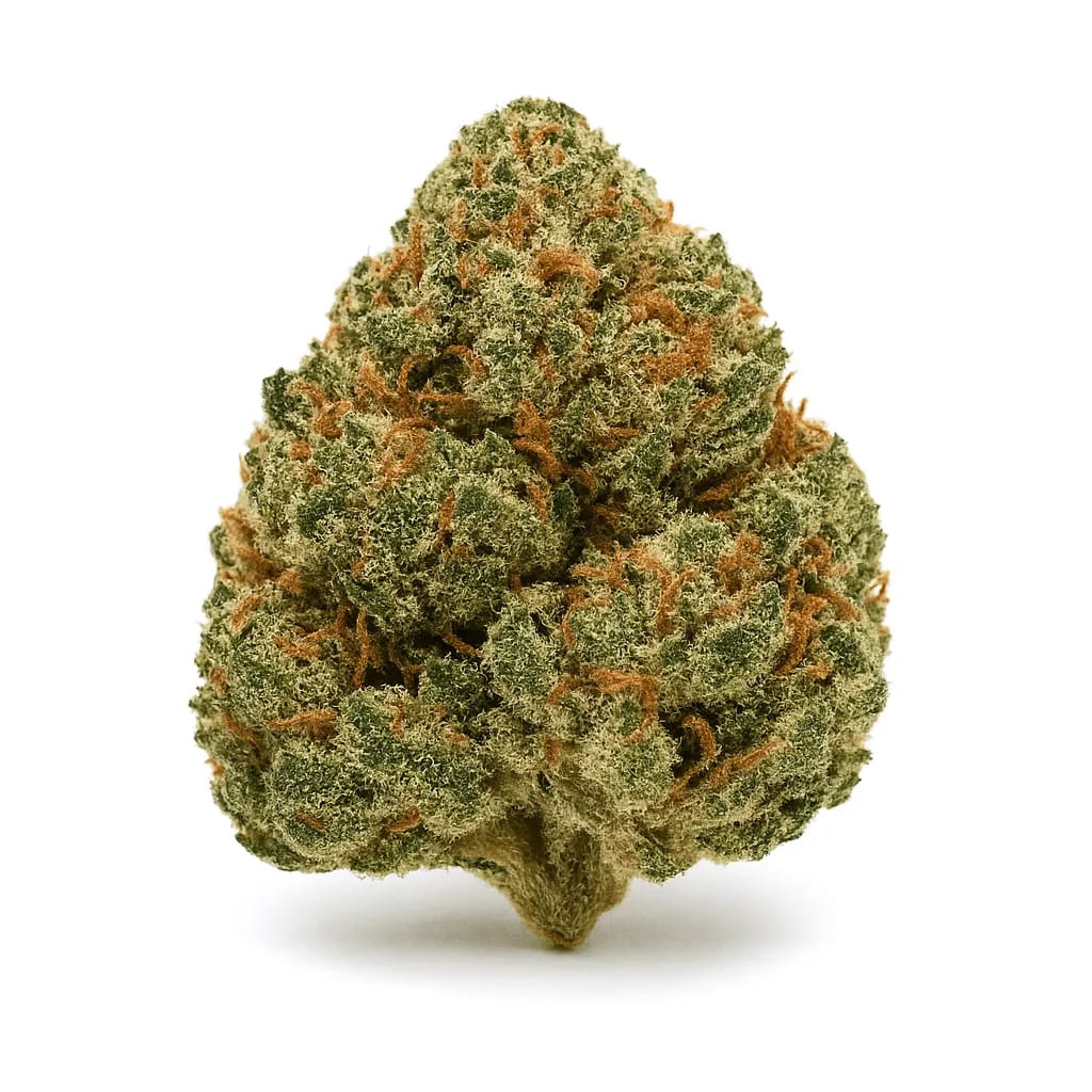 Girl Scout Cookies cannabis strain
