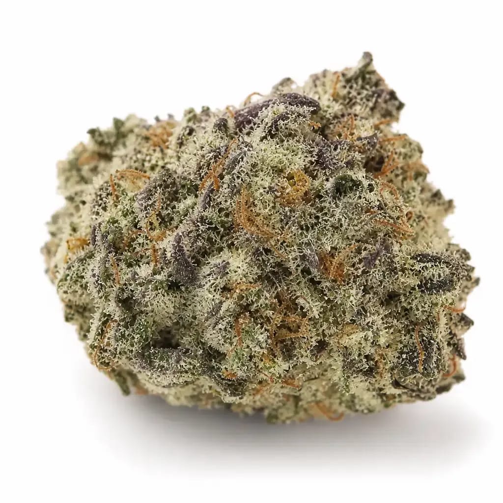 Scooby Snacks cannabis strain