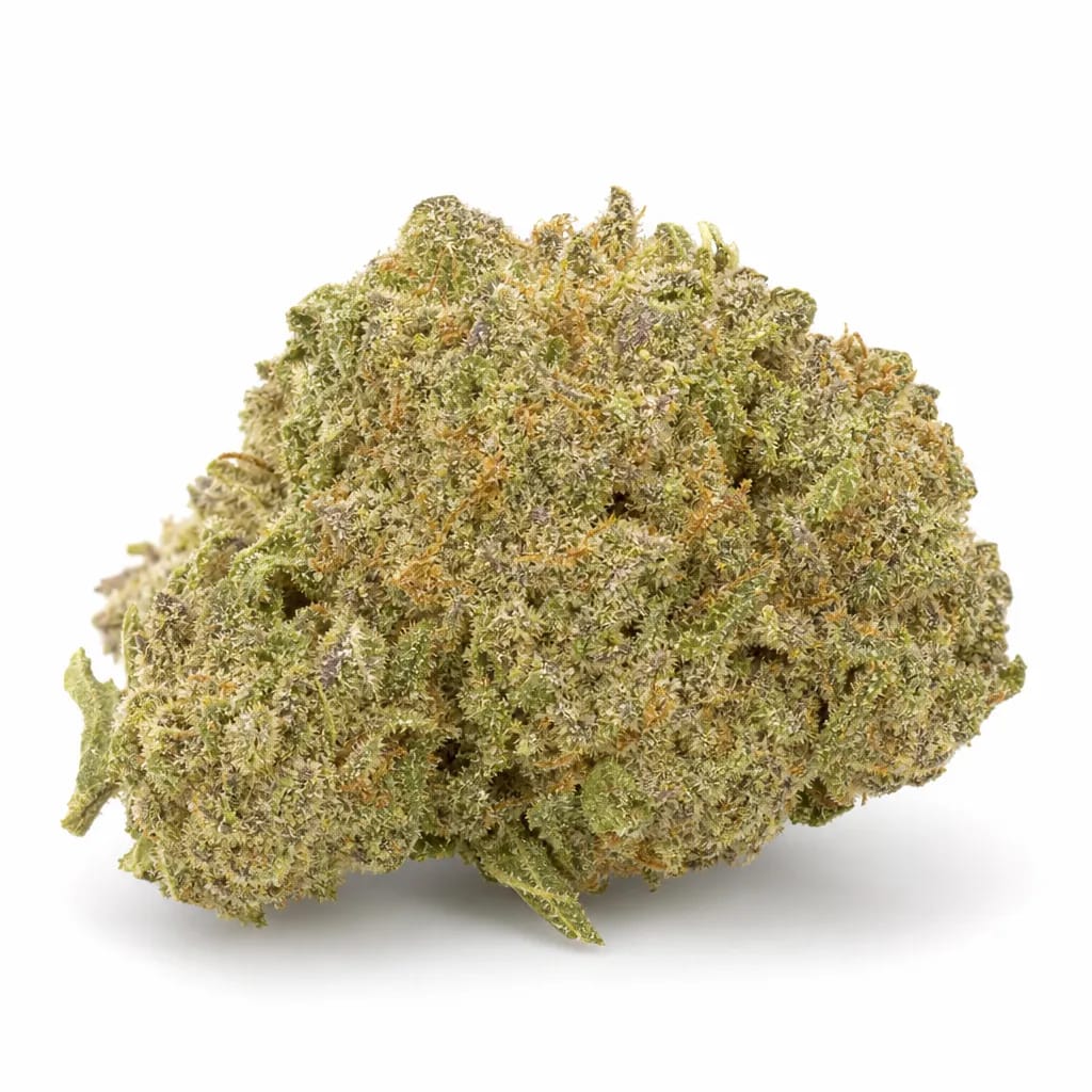 Special Kush cannabis strain
