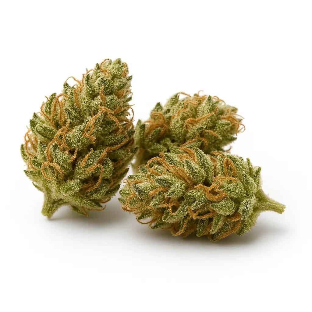 Cherry Gelato cannabis strain