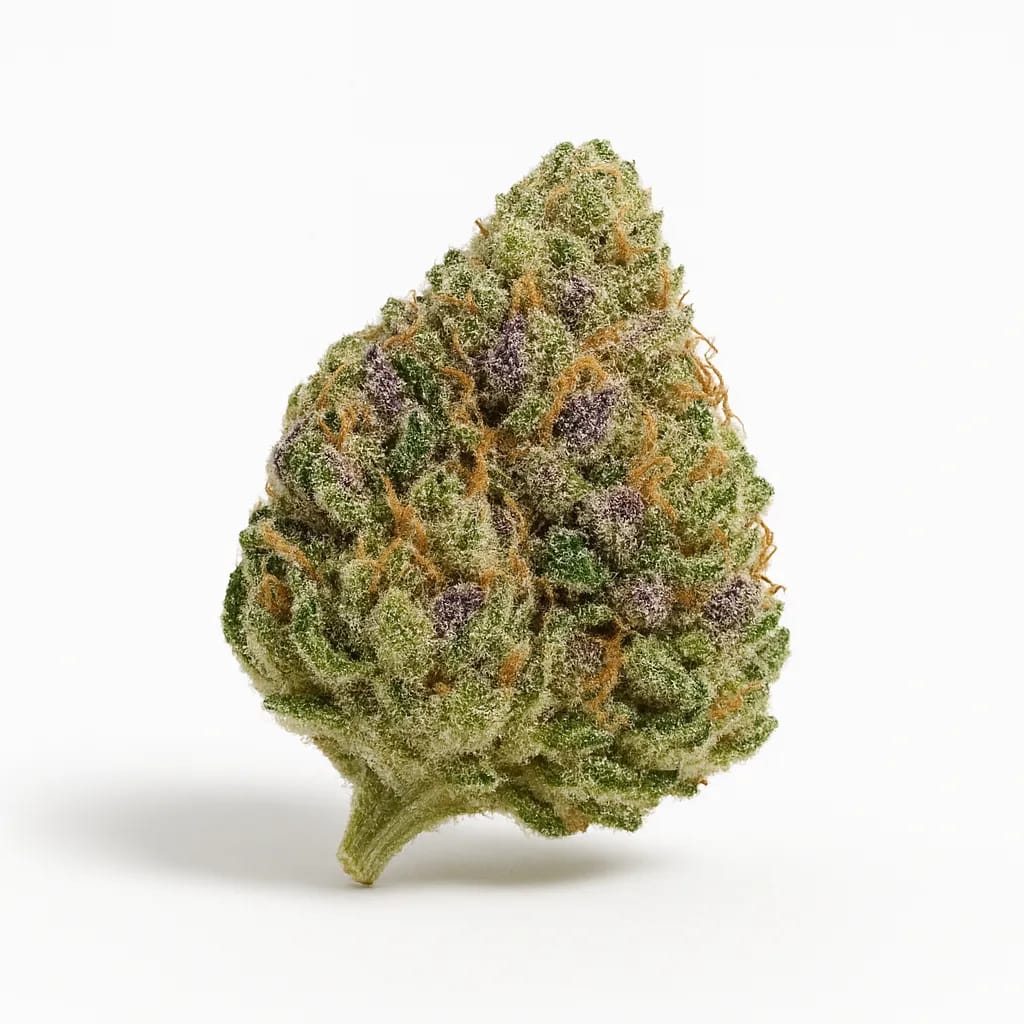 Purple OG cannabis strain