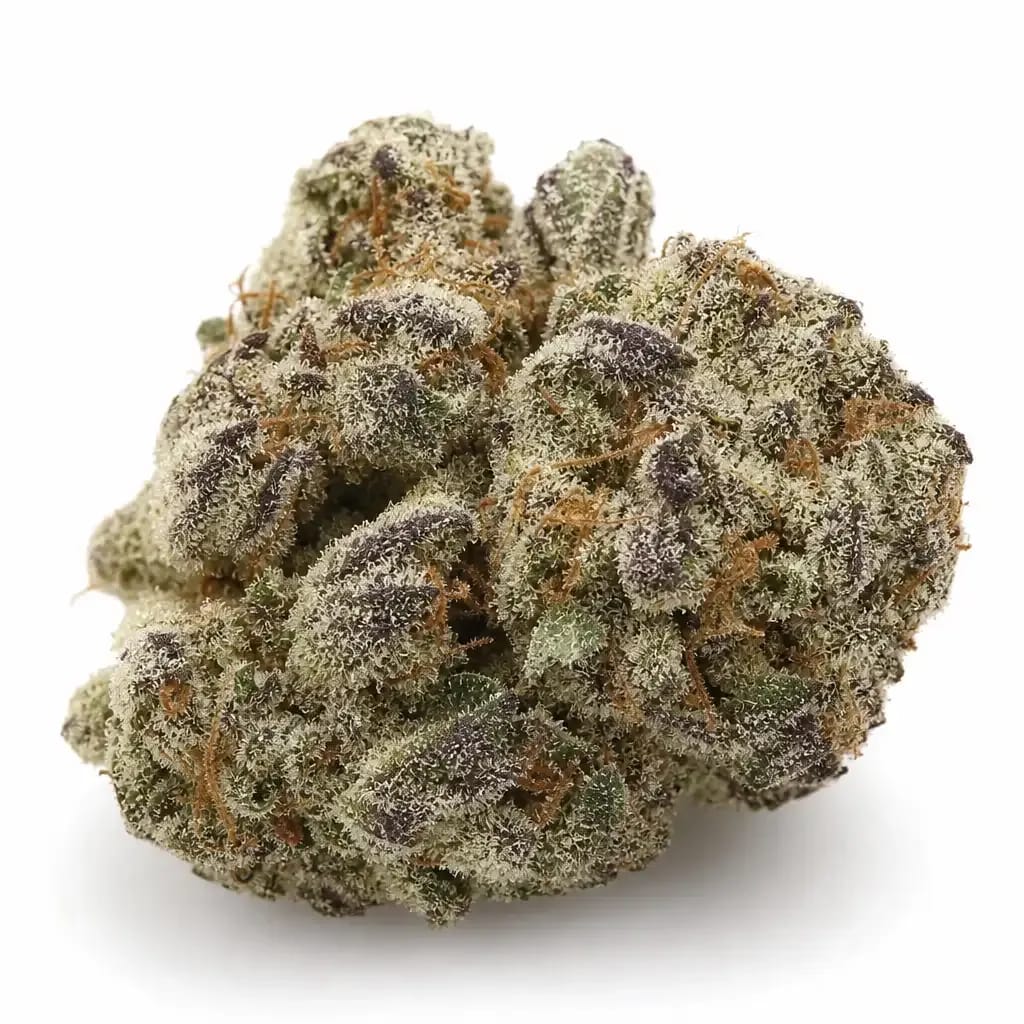 Shoreline cannabis strain