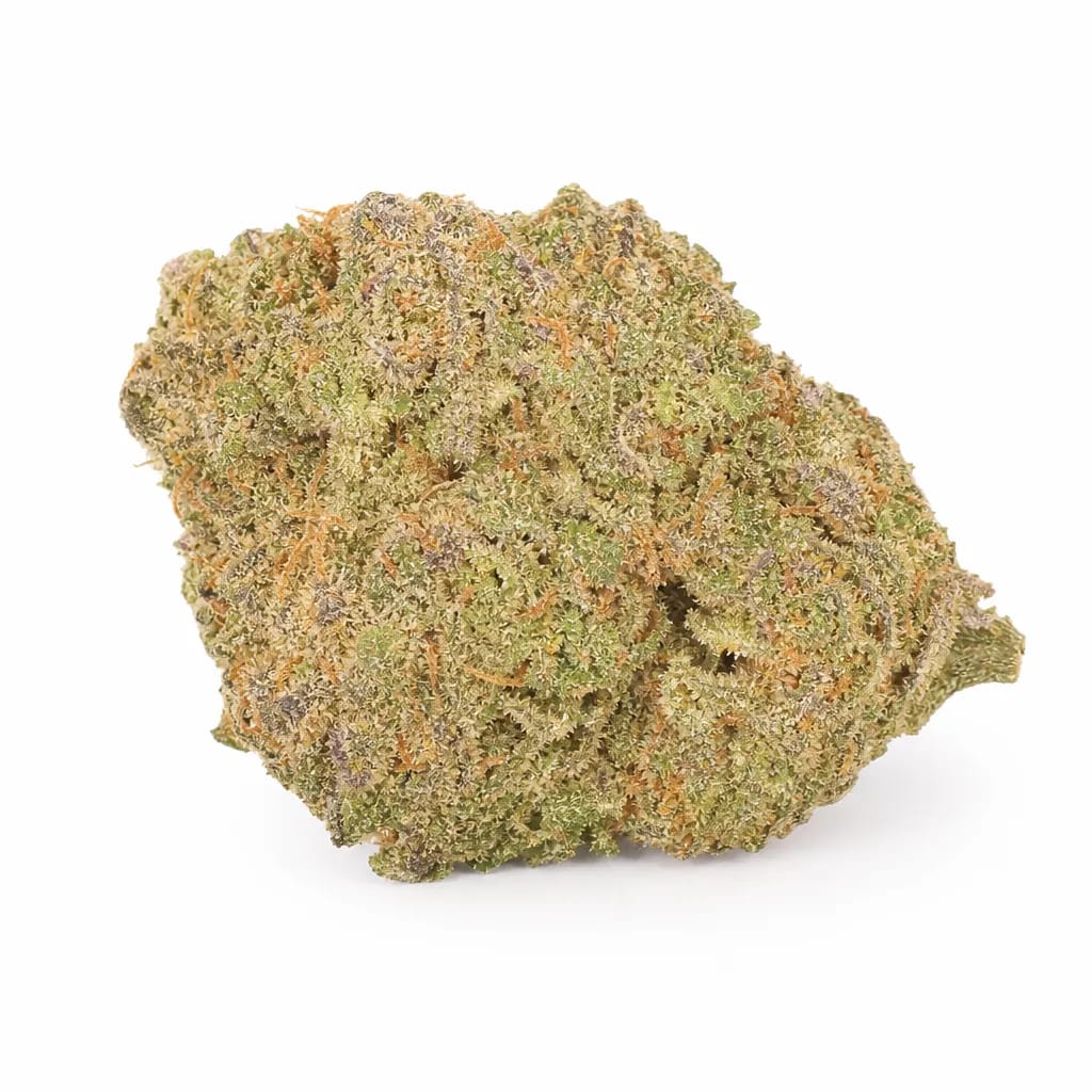 Blackwater cannabis strain