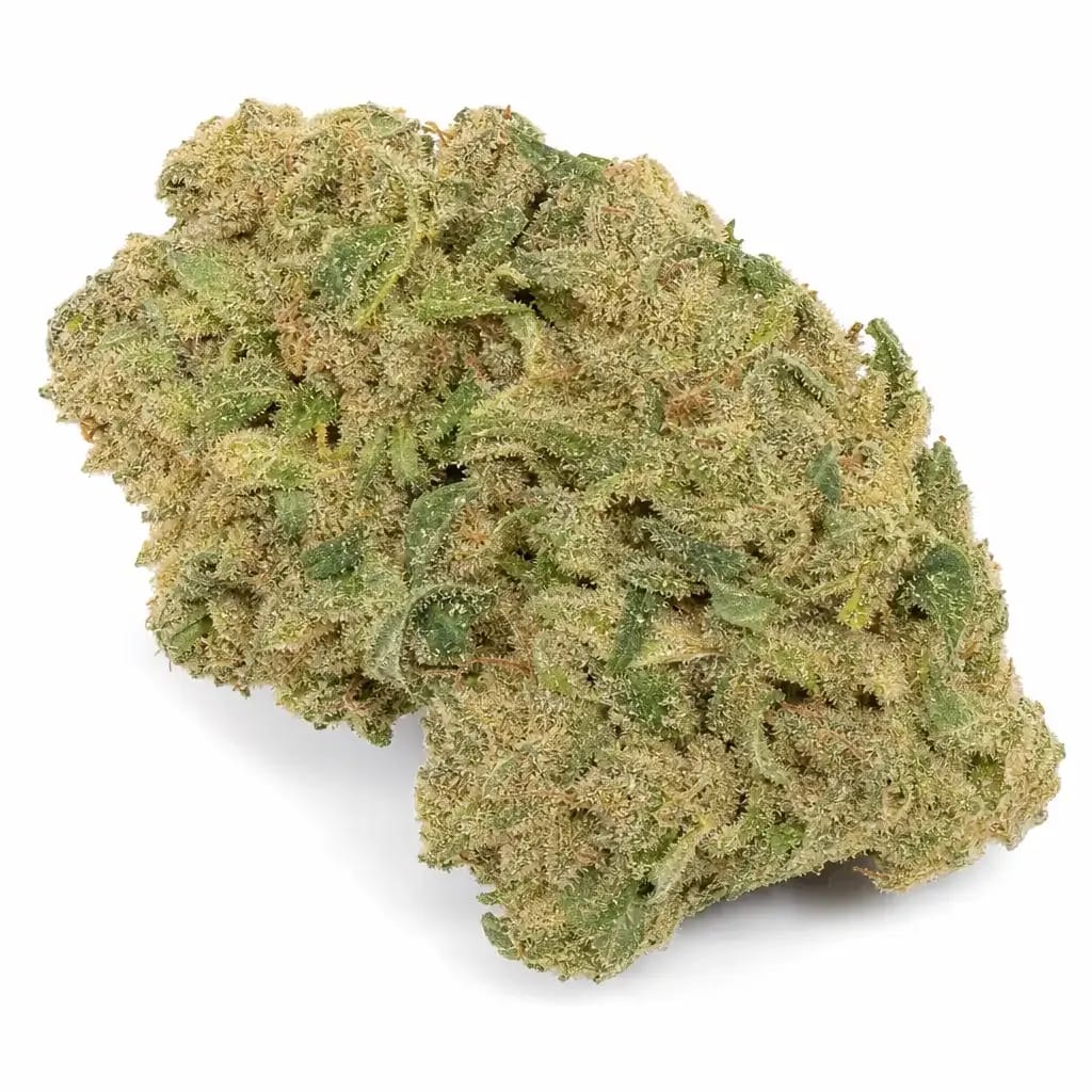 Dr. Grinspoon cannabis strain