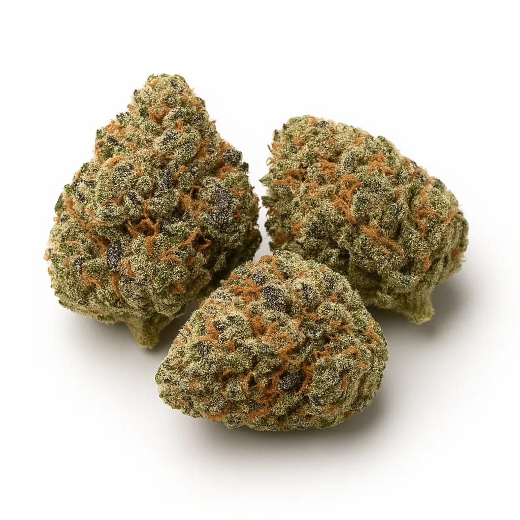 Dolato cannabis strain