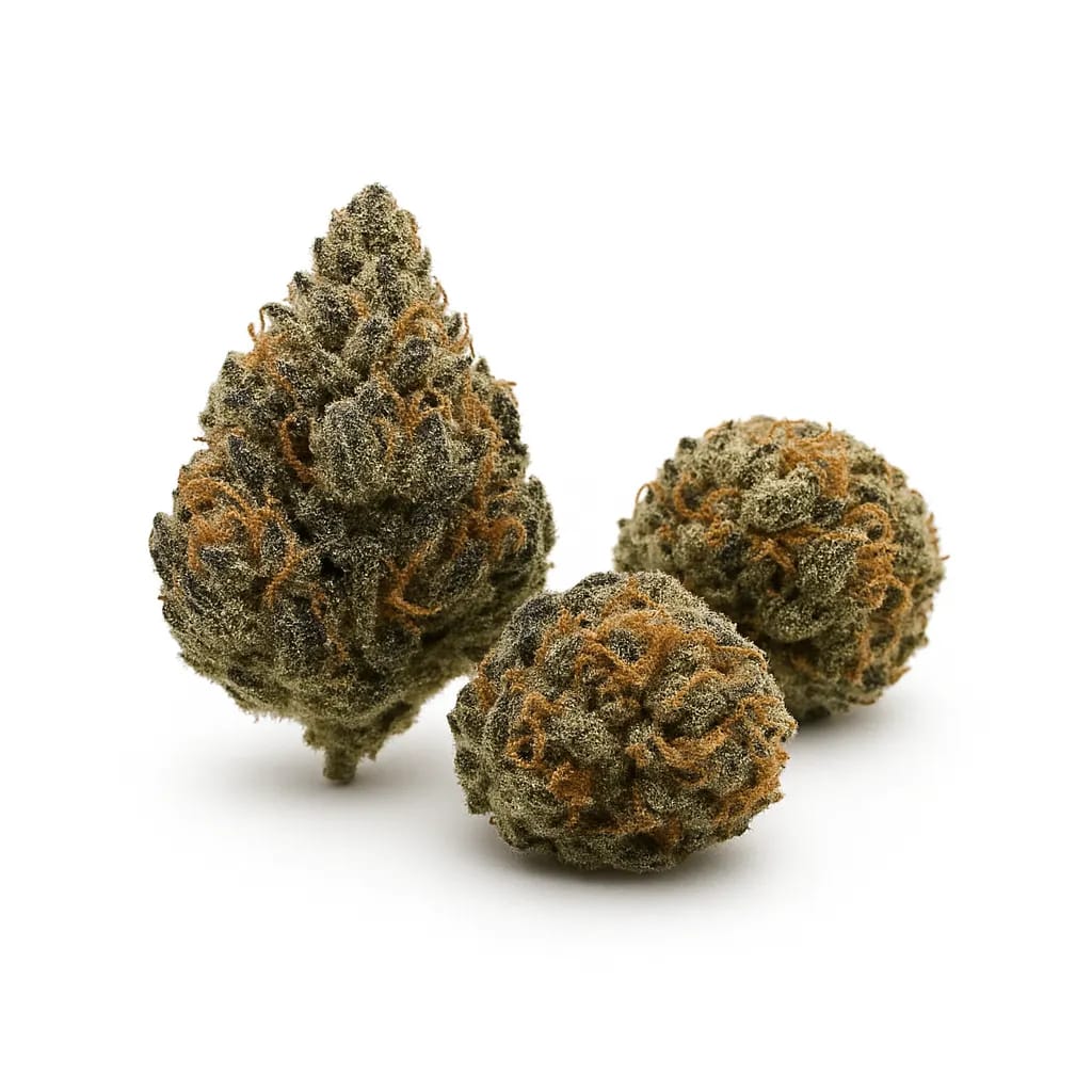 The Black cannabis strain