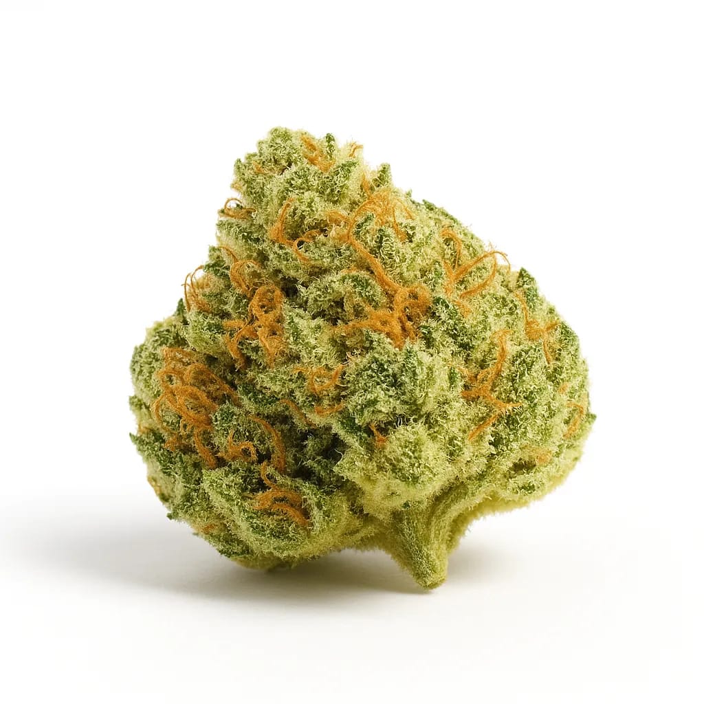 OGKB (OG Kush Breath) cannabis strain