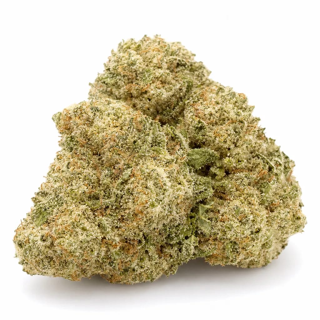 Motorbreath cannabis strain