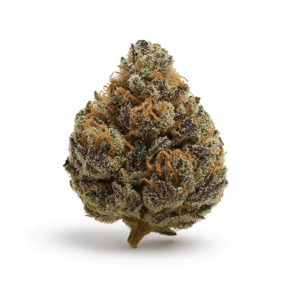 Black Mamba cannabis strain