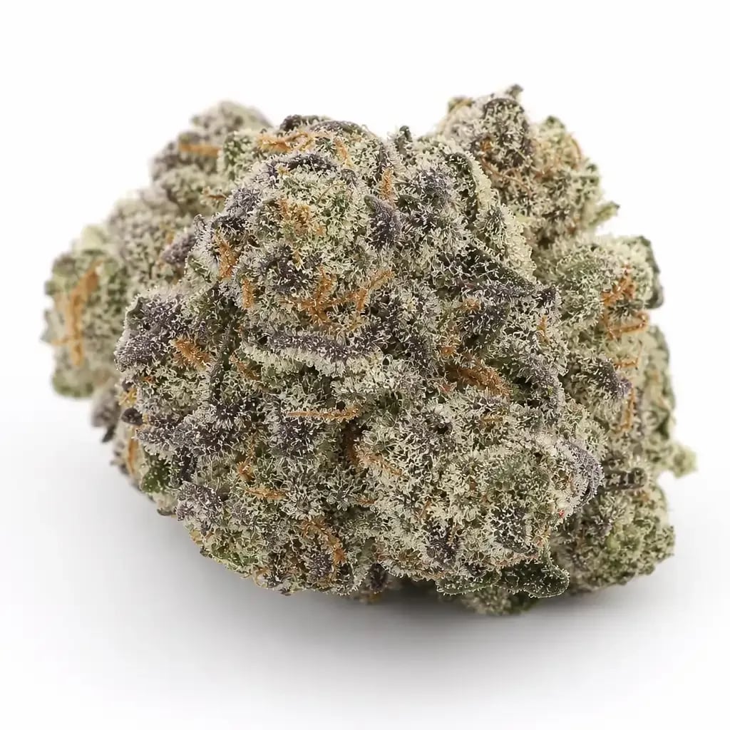 Scott's OG
