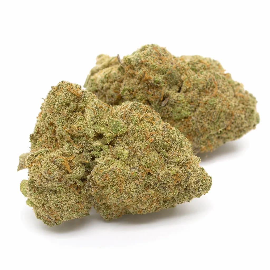Aurora Indica cannabis strain