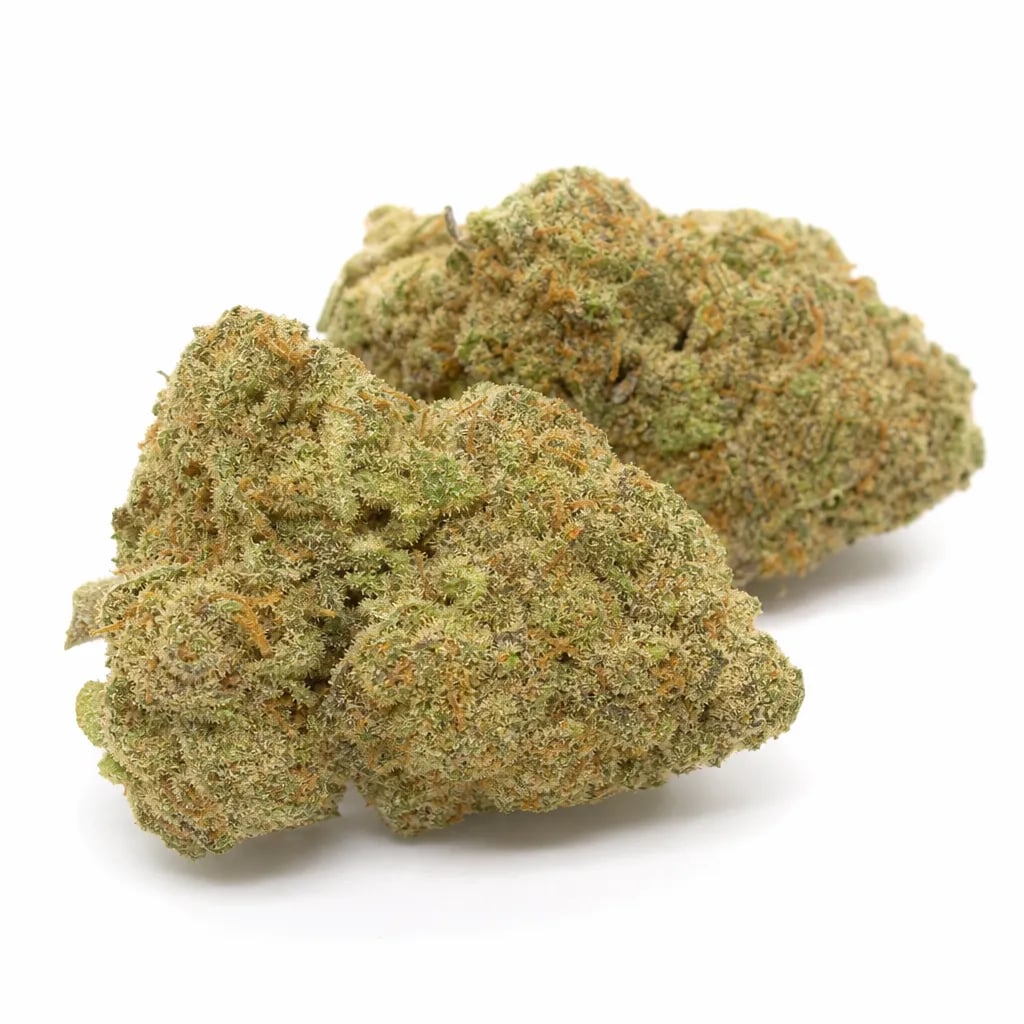 Aurora Indica cannabis strain