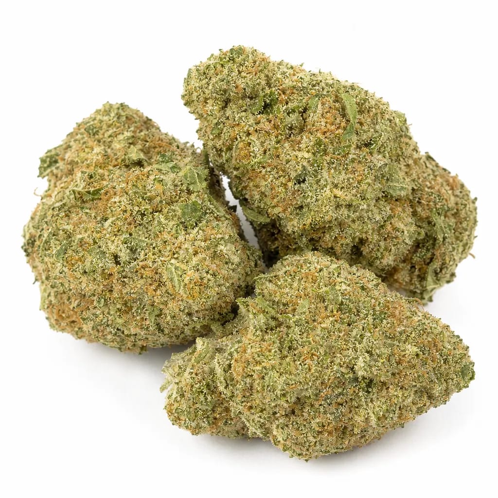 Night Nurse cannabis strain