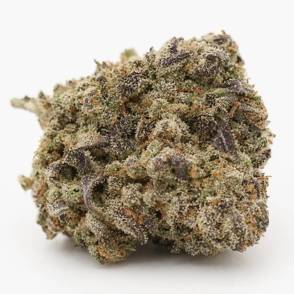 Orange Apricot cannabis strain