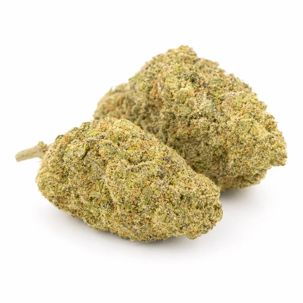 Ace of Spades cannabis strain