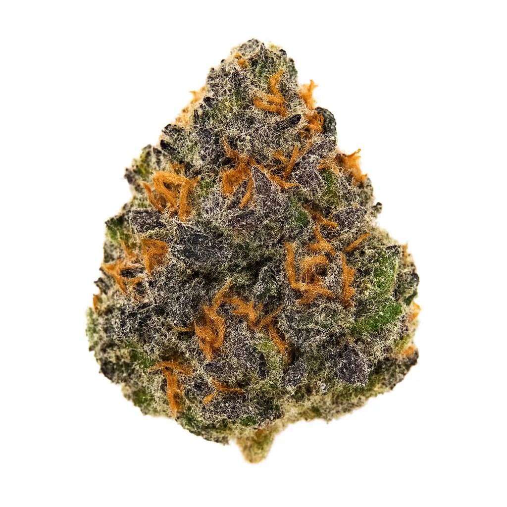Blue Cookies cannabis strain