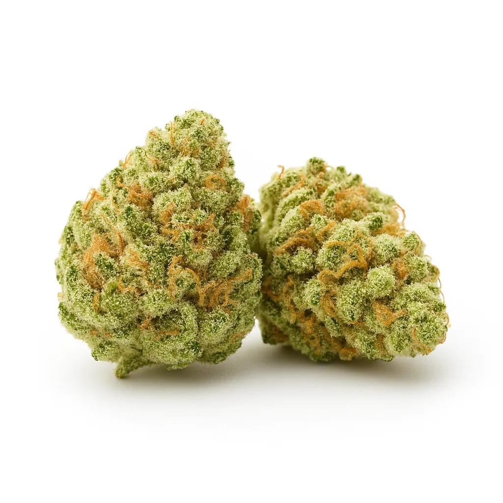 Gelonade cannabis strain