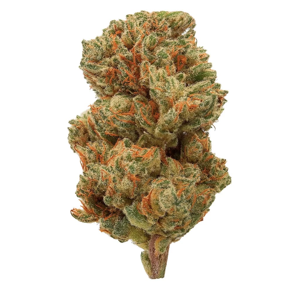 Afghan Skunk cannabis strain