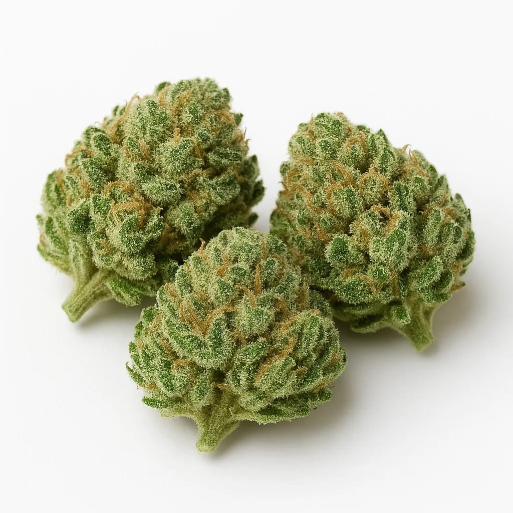 Ancient OG cannabis strain