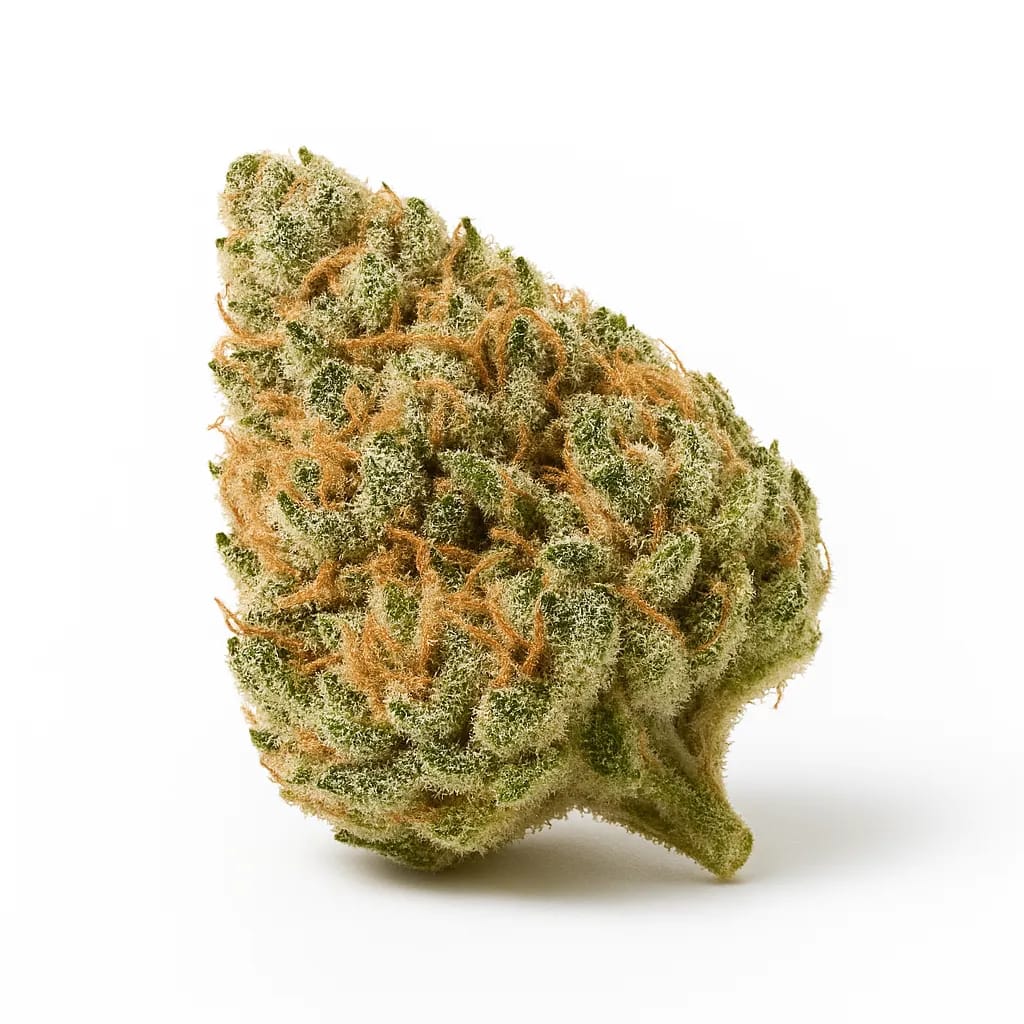 Full Moon cannabis strain