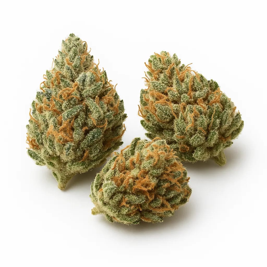 Yumboldt cannabis strain