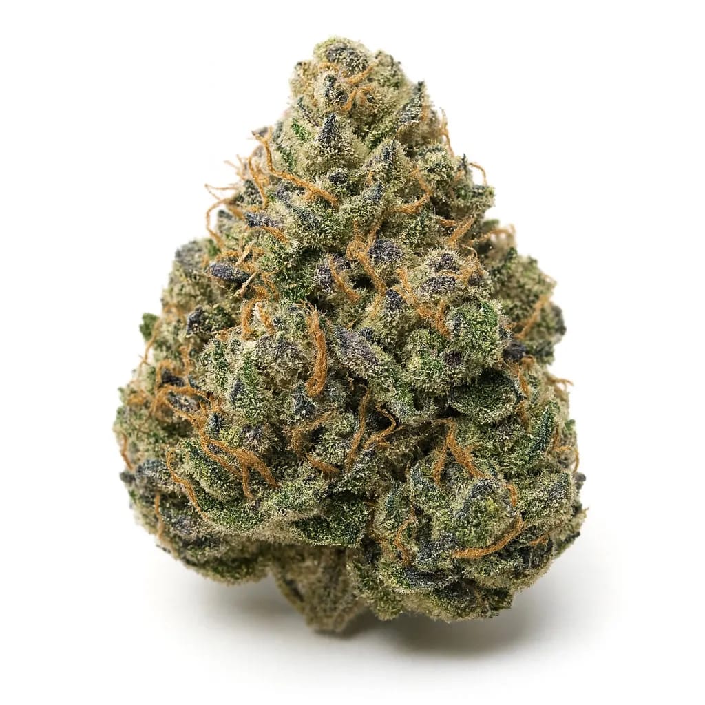 GMO Cookies cannabis strain