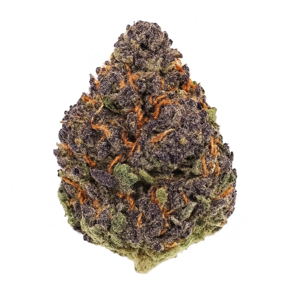 Blackberry Kush cannabis strain