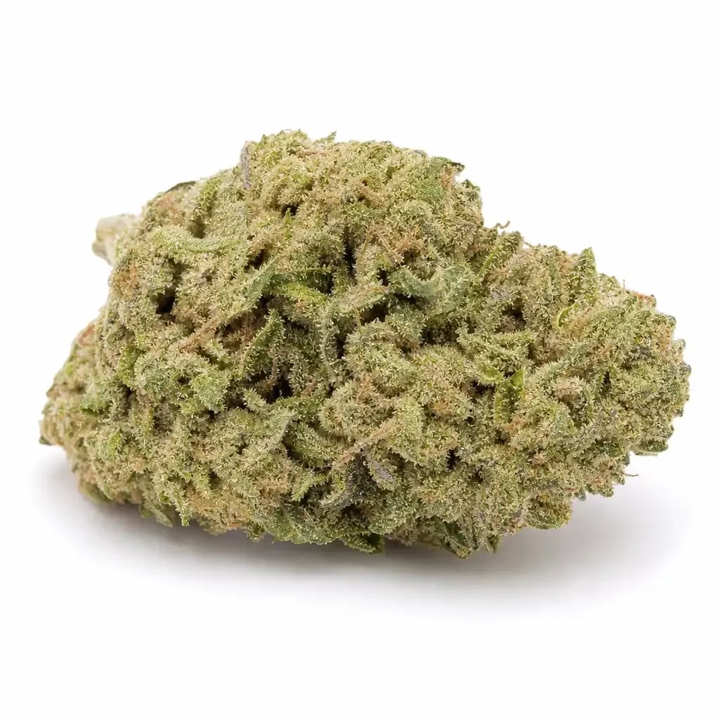 Alaskan Ice cannabis strain