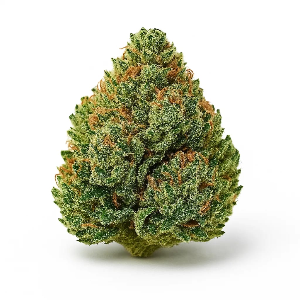 Alien OG cannabis strain