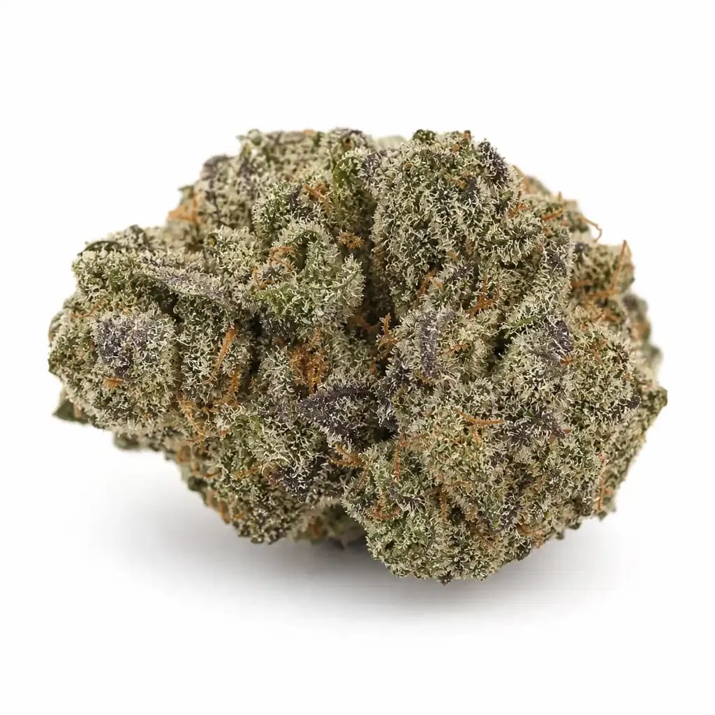 Stardawg Guava cannabis strain