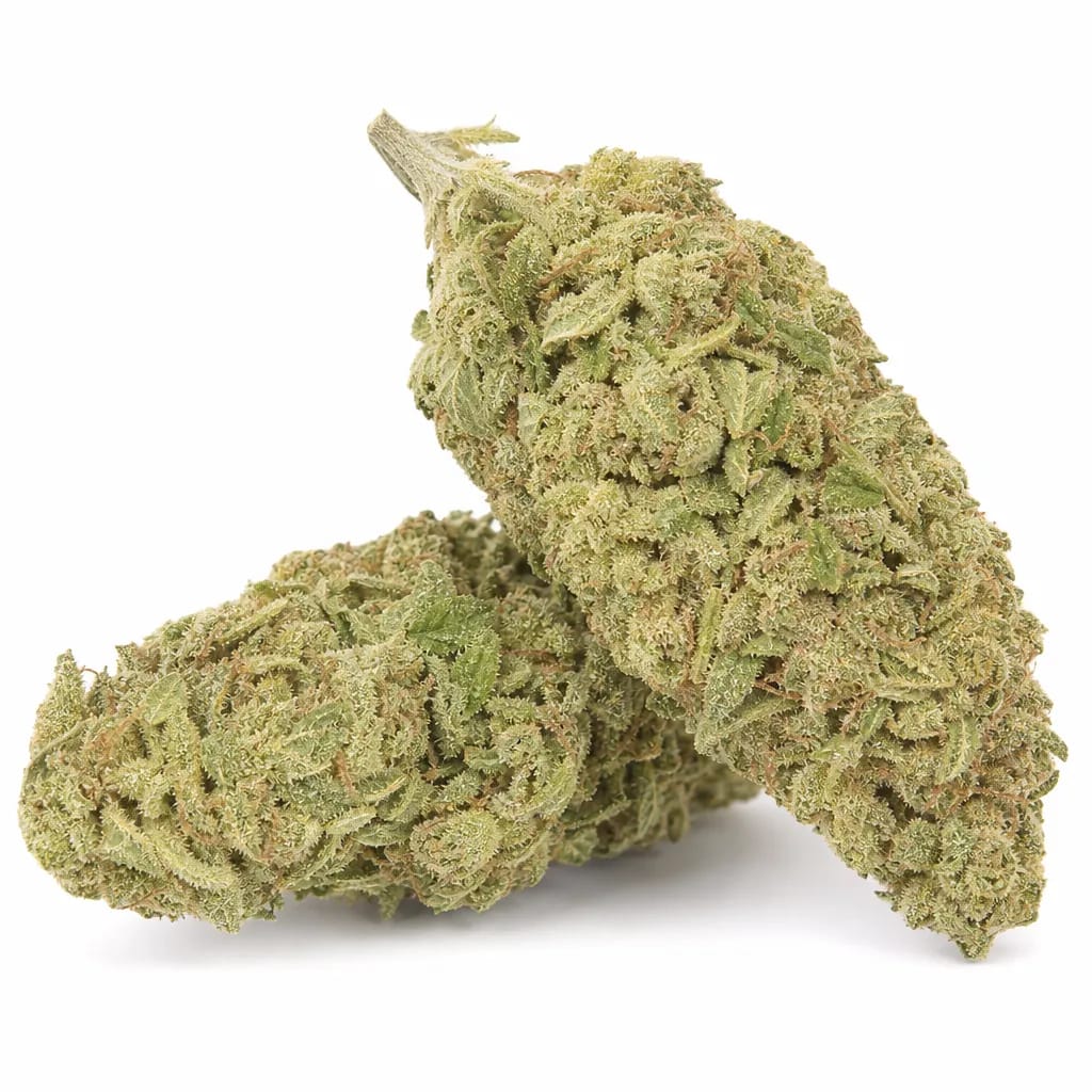 Silver Haze cannabis strain