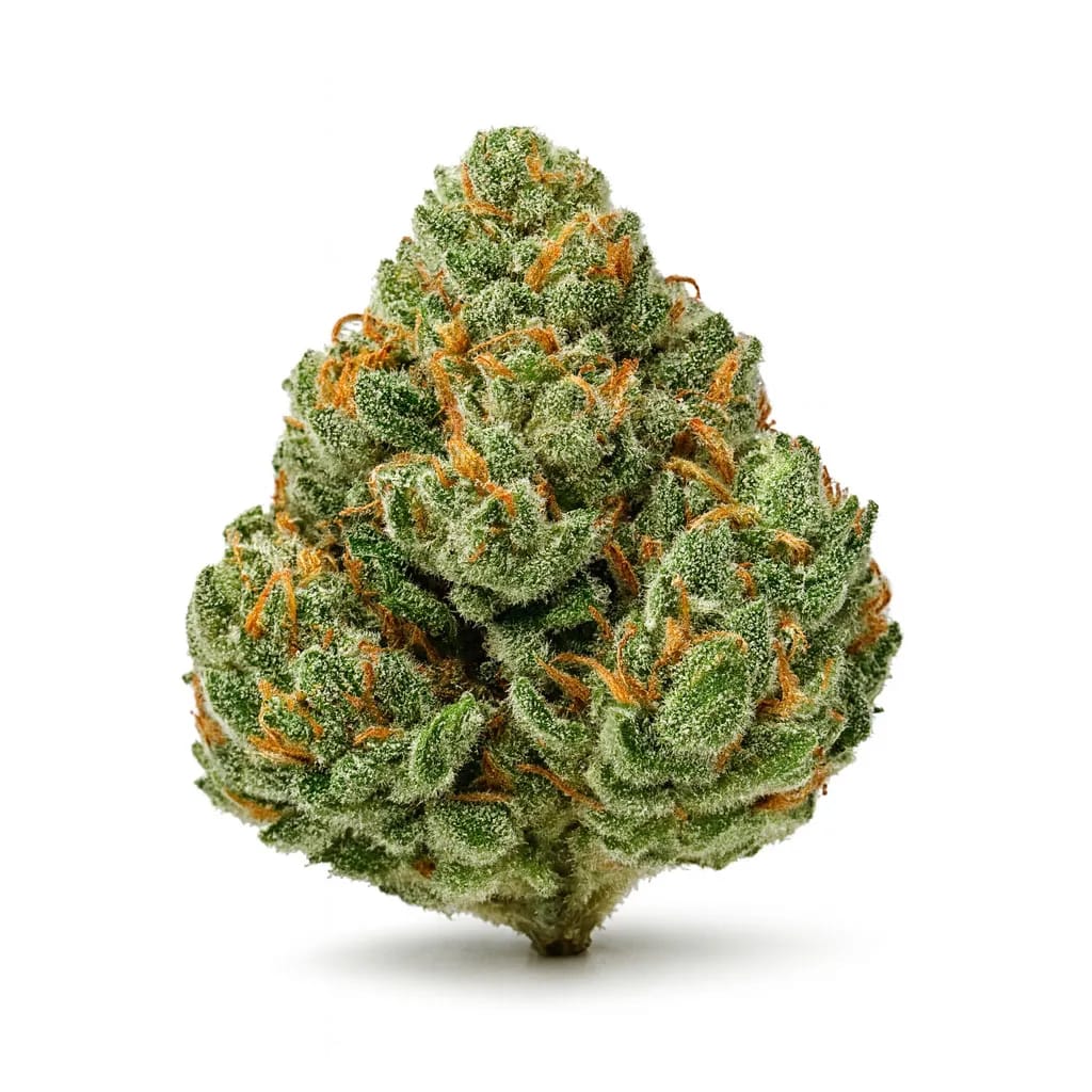 Jet Fuel cannabis strain