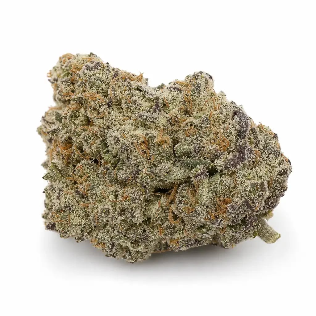 White Tahoe Cookies cannabis flower buds on white background, macro strain photo