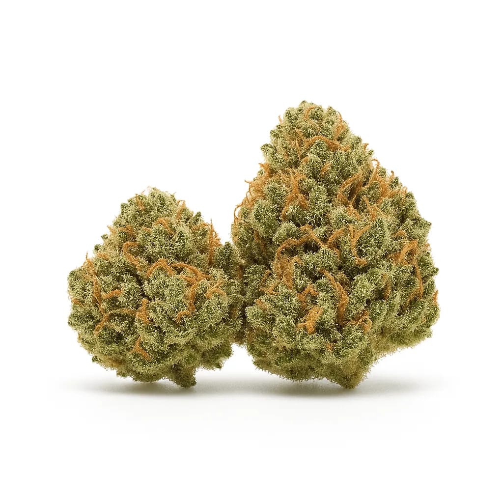 Glueball cannabis strain