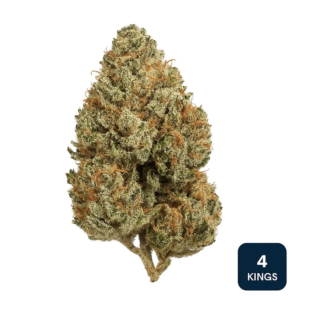 4 Kings cannabis strain