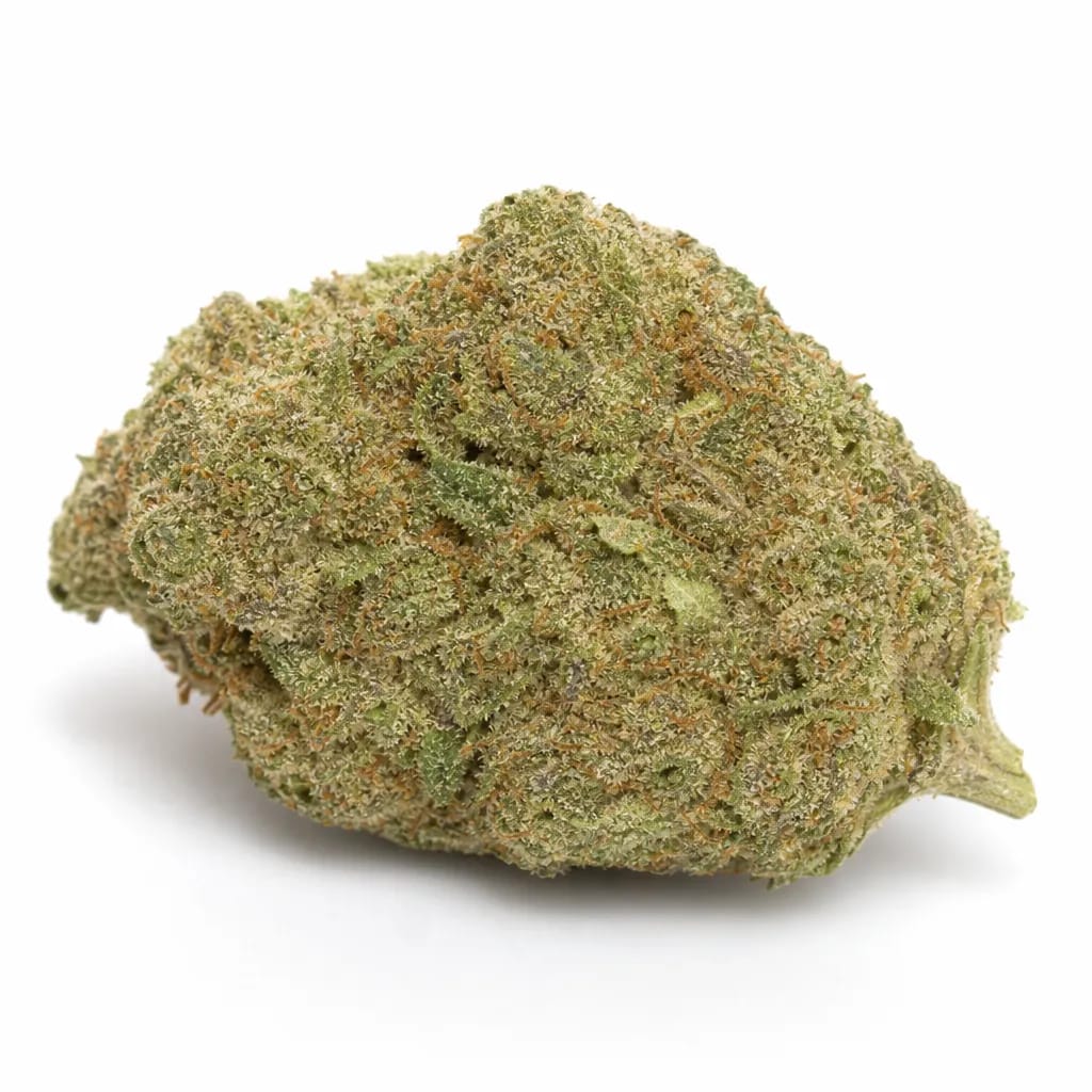 Afghani cannabis strain