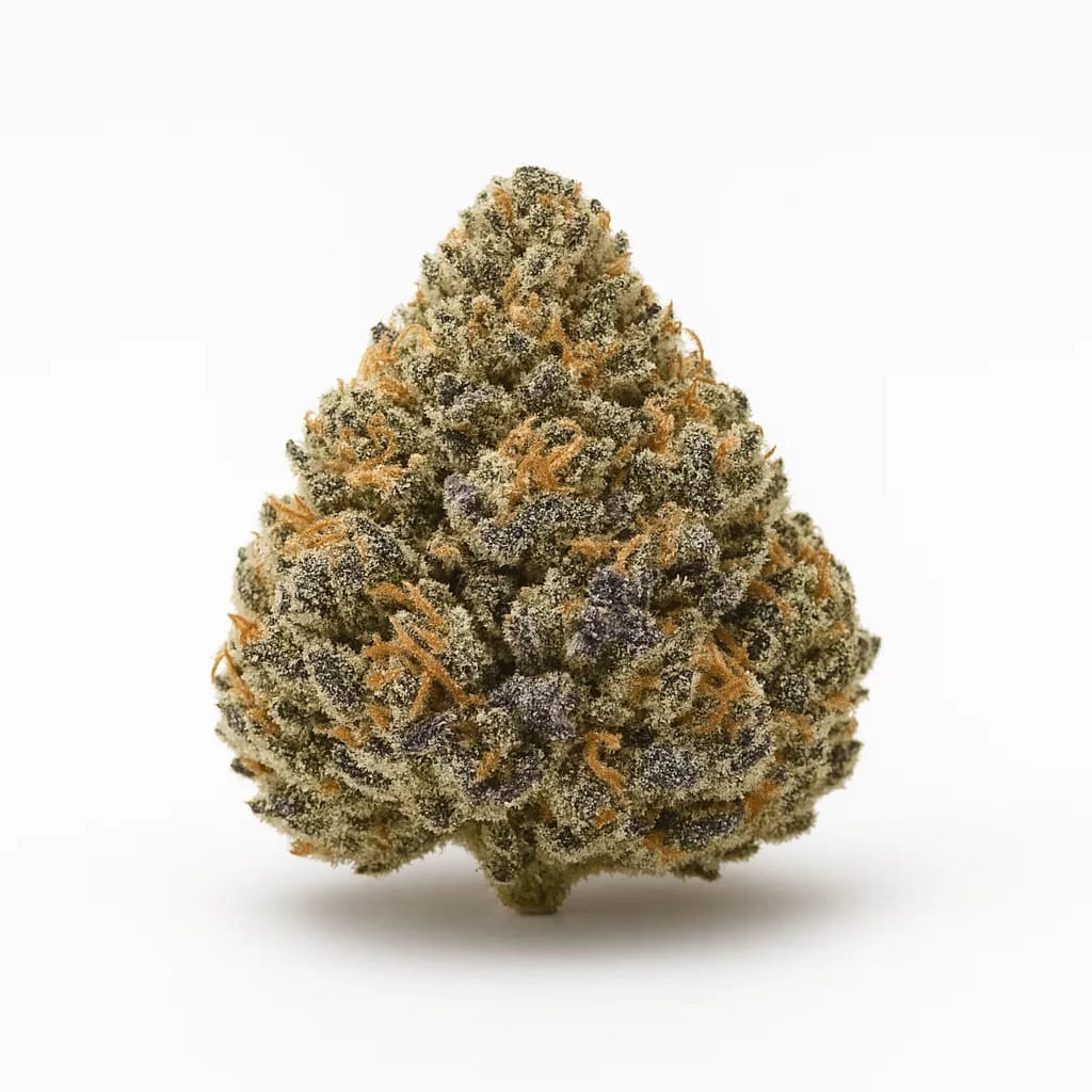 Oreo Cookies cannabis strain
