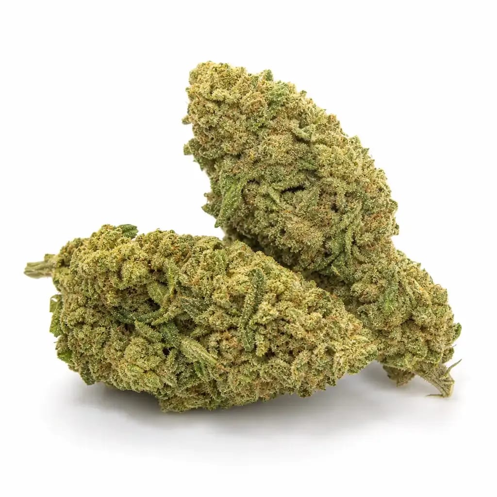 Emerald Jack cannabis strain