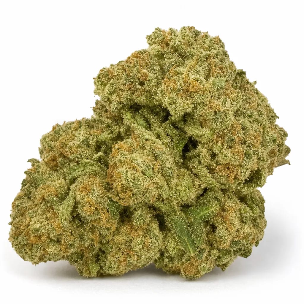 Morpheus cannabis strain