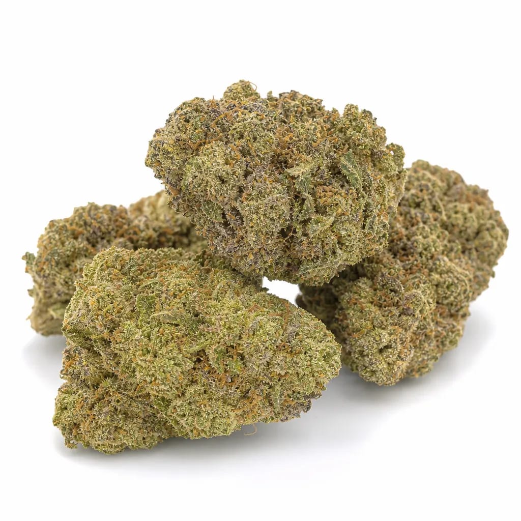 Purple Nepal cannabis strain