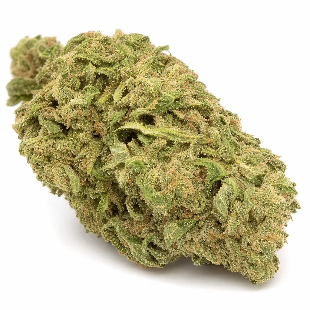 Power Plant cannabis strain