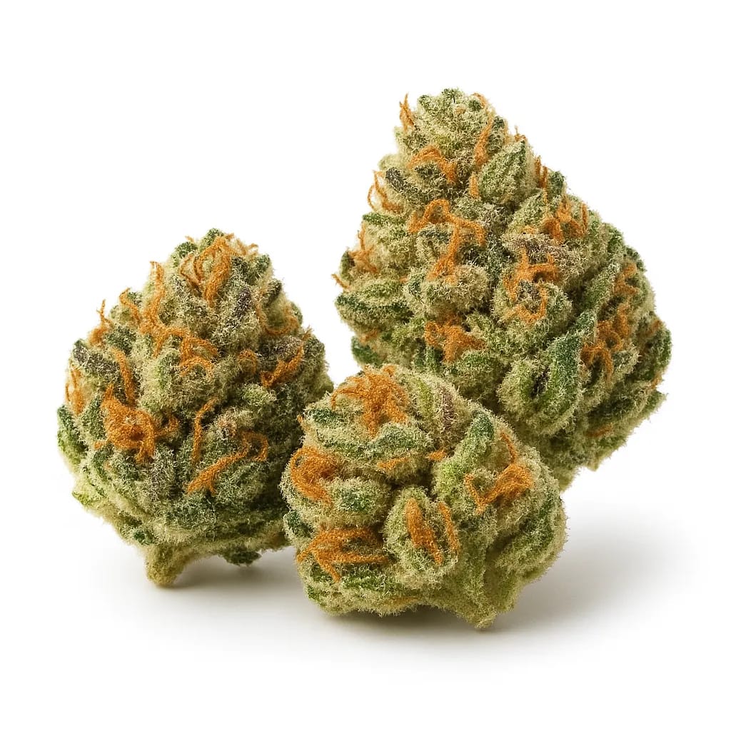 Grape Stomper cannabis strain