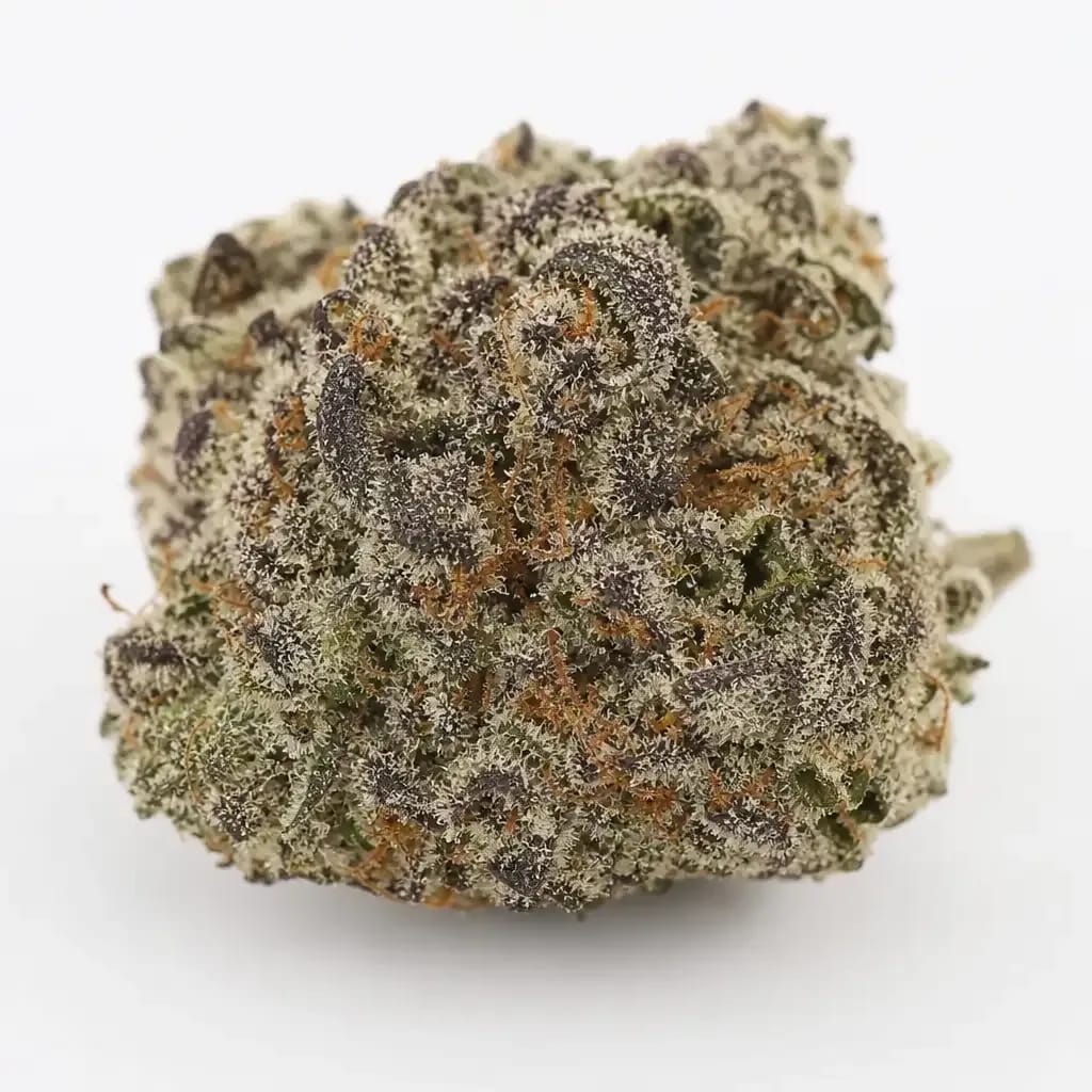 Franco’s Lemon Cheese cannabis strain