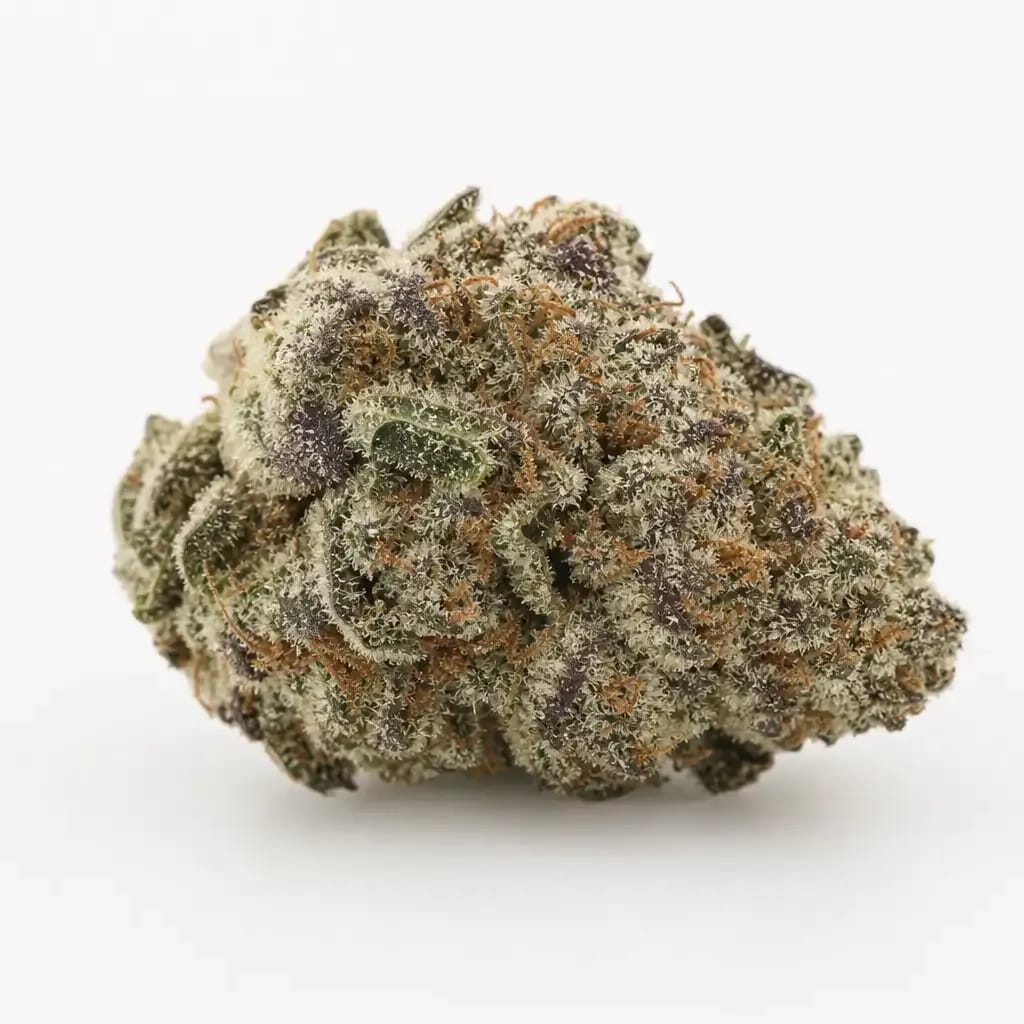 White 99 cannabis strain