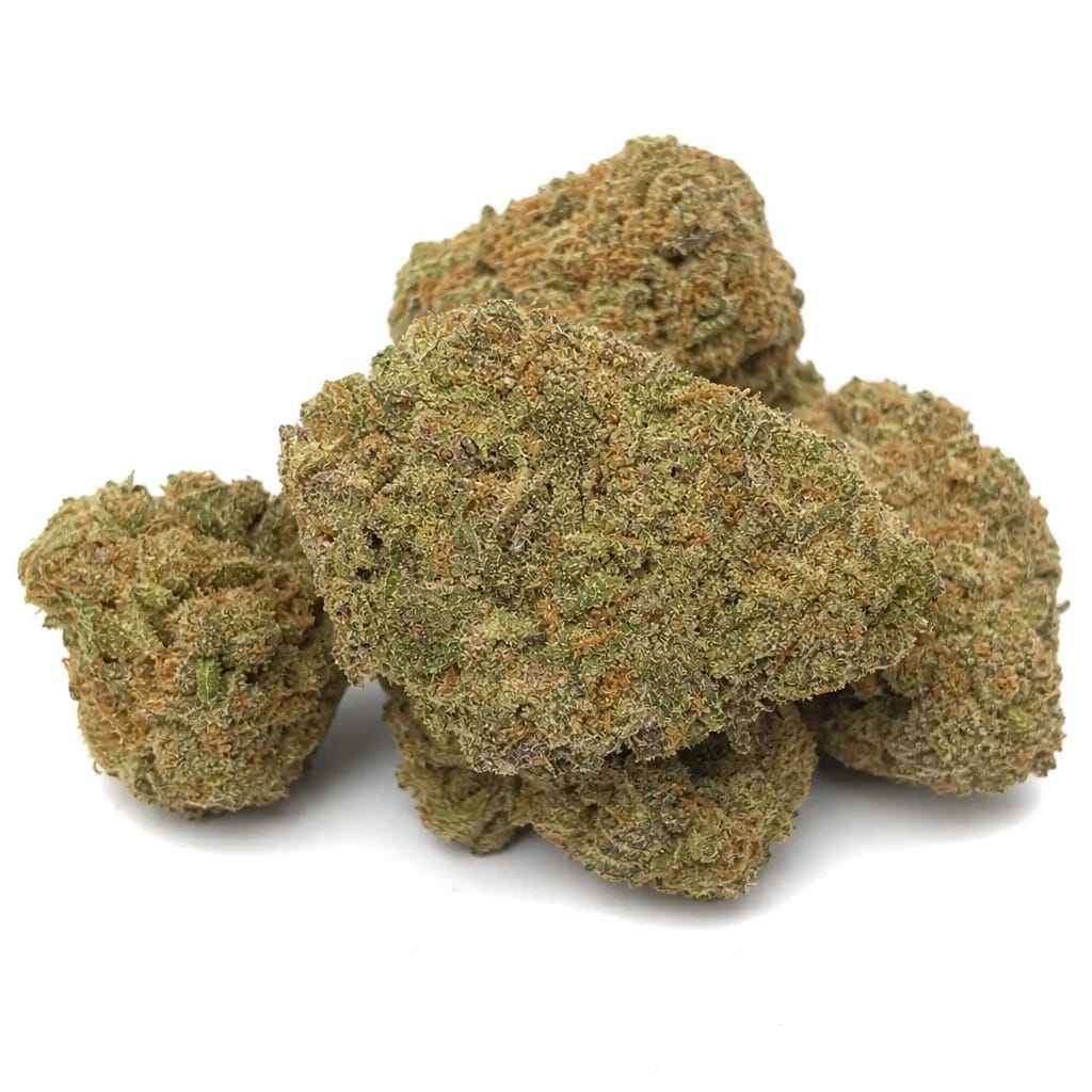 Cuddlefish Hashplant cannabis strain