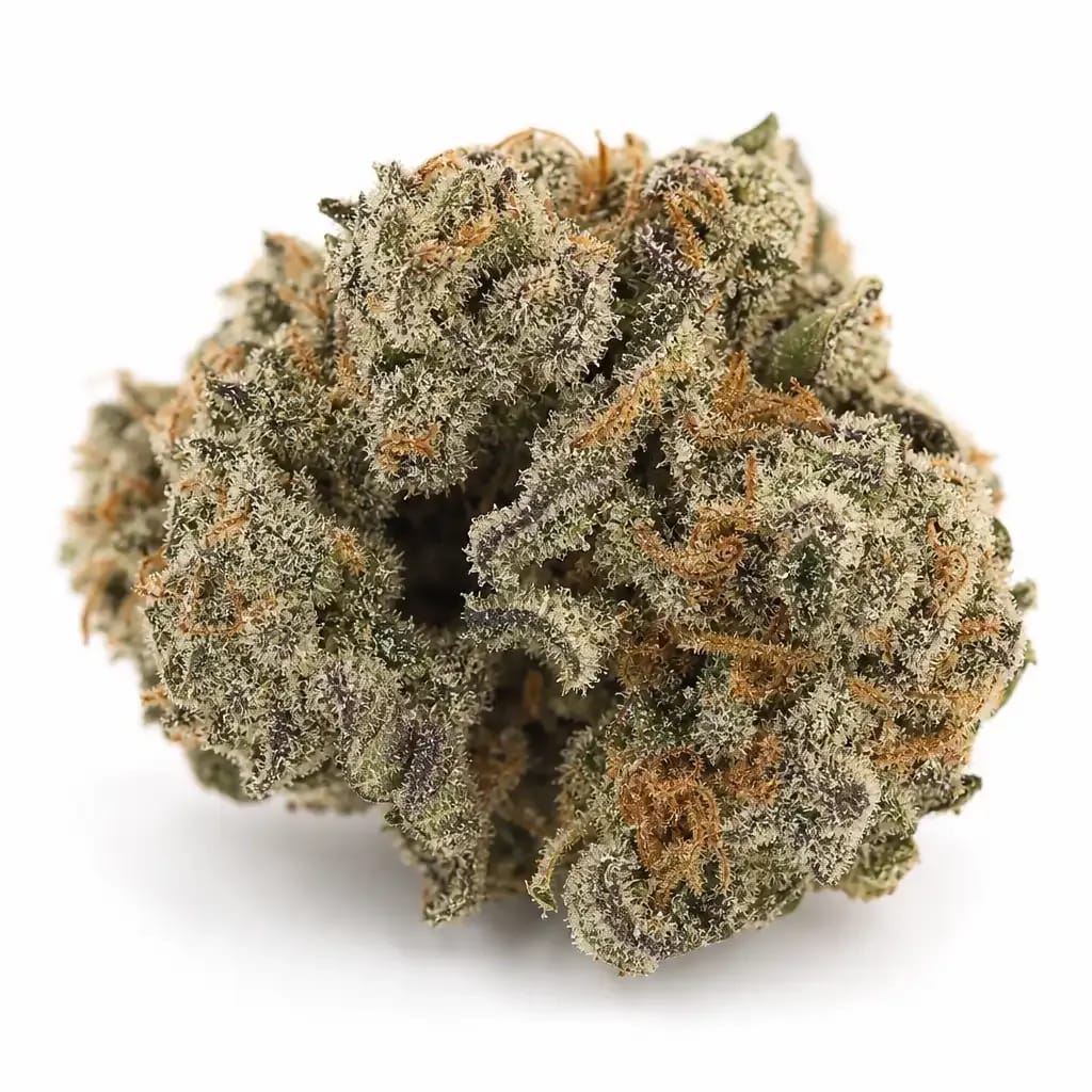 RudeBoi OG cannabis strain