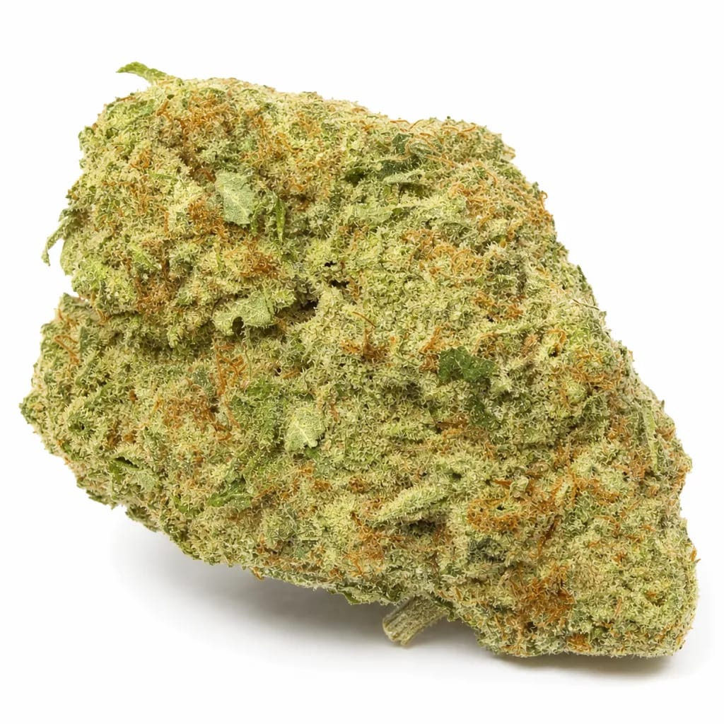 Sensi Cheese cannabis strain
